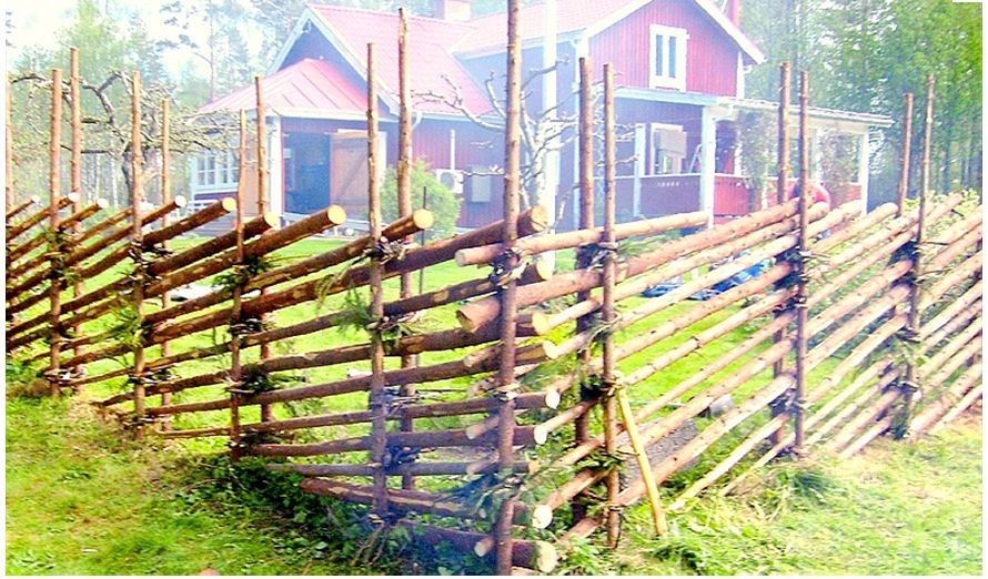 Bygg & Trädgård