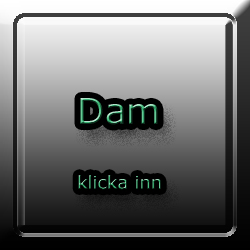 Dam